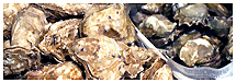 Our Oyster List